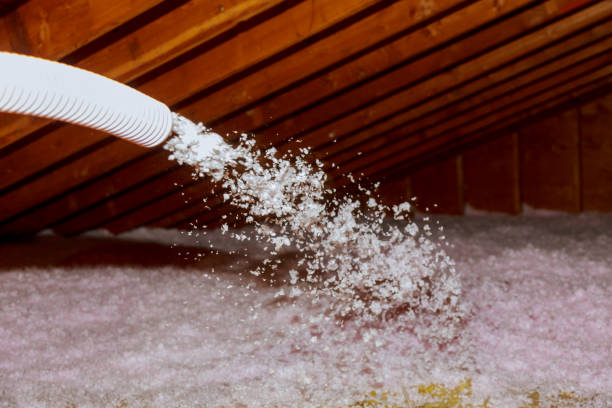 Best Residential Insulation in Mendon, IL